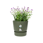 greenville round 14cm blad groen